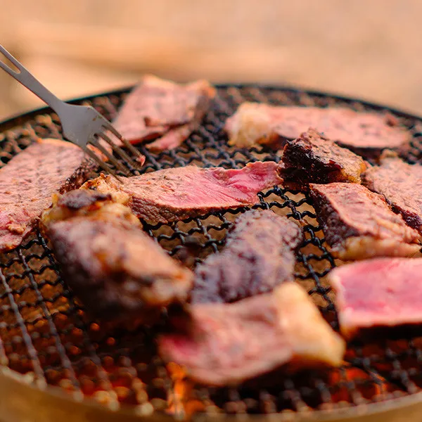 Camping Stove Cooking Wood Burning Fire Pit Stainless Steel Stove