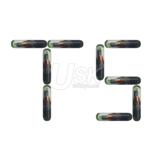 T5 Glass ID20 Transponder Chip