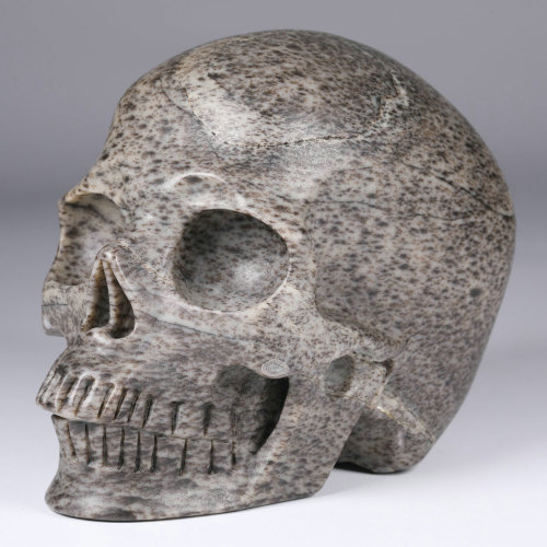 Imperfect Skulls 5.0'' Dentritic Stone P600