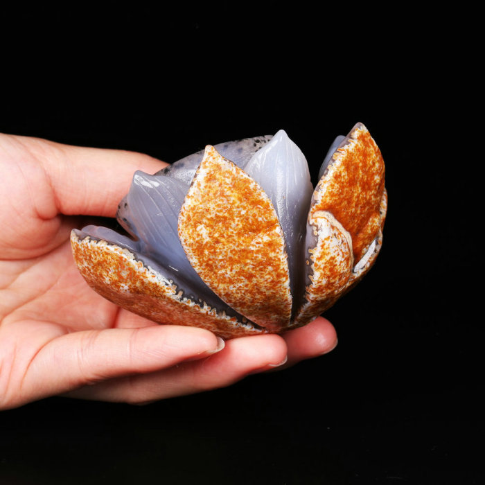 3.7'' Geode Cluster Agate Z398
