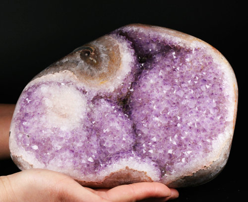 9.3 '' Geode Cluster Amethyst N91