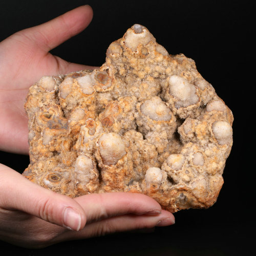 6.1 '' Geode Cluster N235