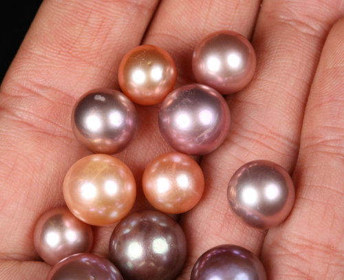 Blueberry (1 Deep Color 10-12mm Freshwater Pearl)