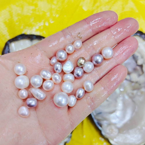 Sr Pot (20-35 Bigger Nature Seedless Freshwater Pearls)