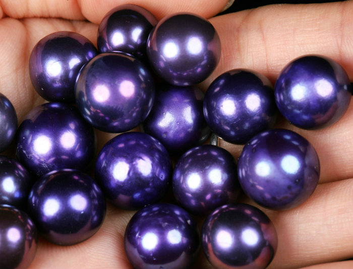 Grape Edison（1 Deep Color 11-14mm Pearl)