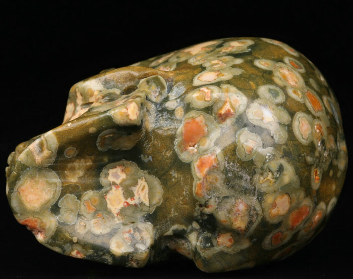 2 '' Rainforest Jasper Q1863