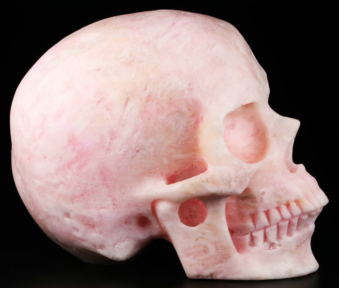 Free shipping,four 5 inches skulls,gift packaging,sent from USA warehouses, 2-5 business days to deliver