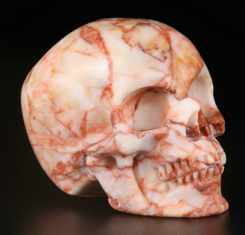 2 '' Red Network Jasper Q2067