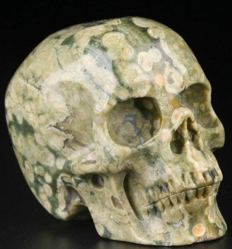 2 '' Rainforest Jasper M1096