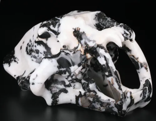 7 '' Zebra Jasper M1141