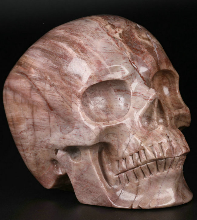 5 '' Petrified Wood M1176