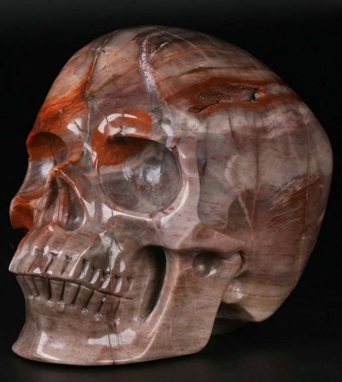 5 '' Petrified Wood M1177