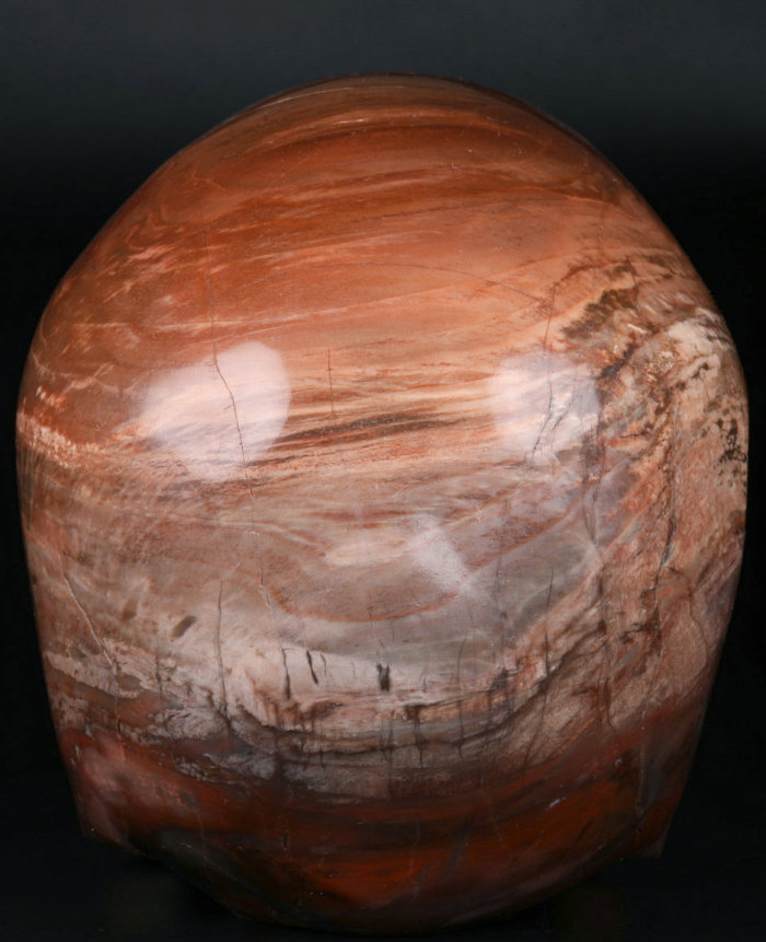 5 '' Petrified Wood M1223