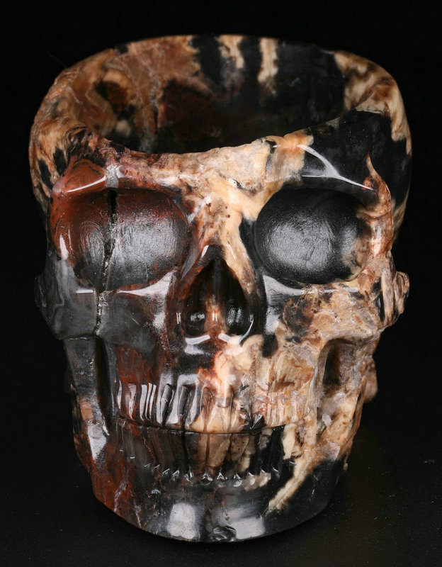 5 '' Petrified Wood M1243