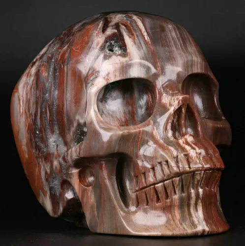 5 '' Petrified Wood M1248