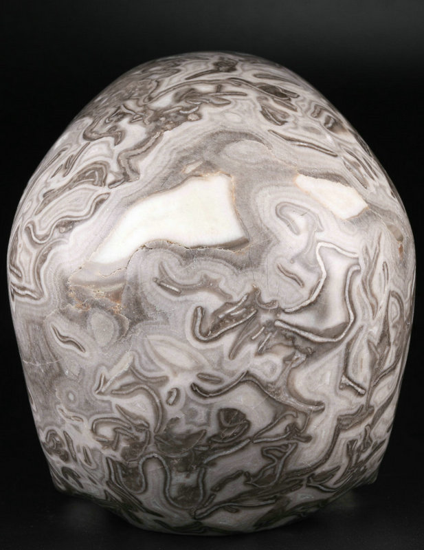5 '' Black Crazy Lace Agate M1333