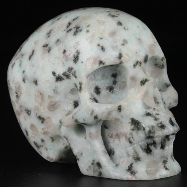 3 '' Kiwi Jasper M1414