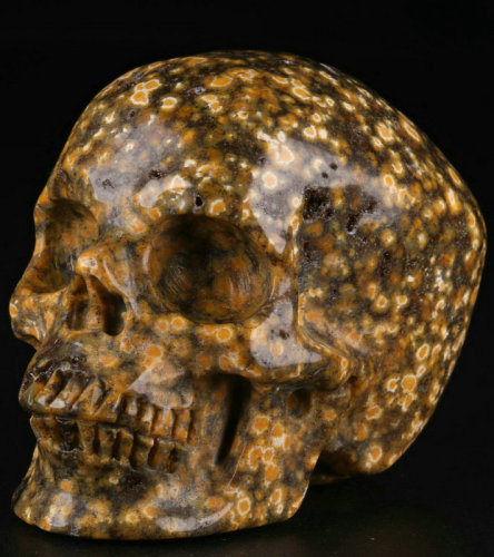 2.5 '' Ocean Jasper K2359