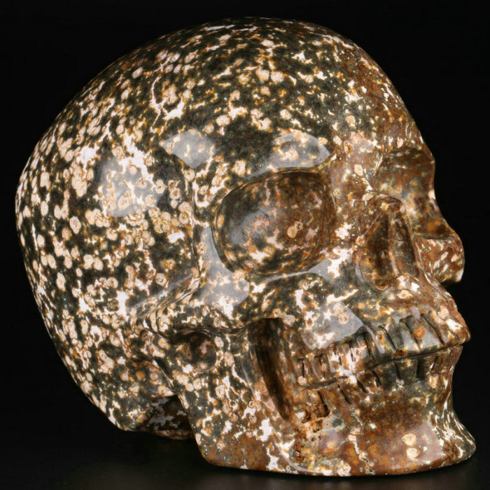 5 '' Ocean Jasper K2395
