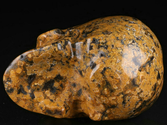 2.5 '' Ocean Jasper K2363