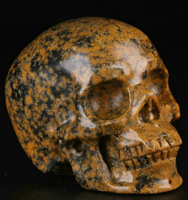 2.5 '' Ocean Jasper K2364