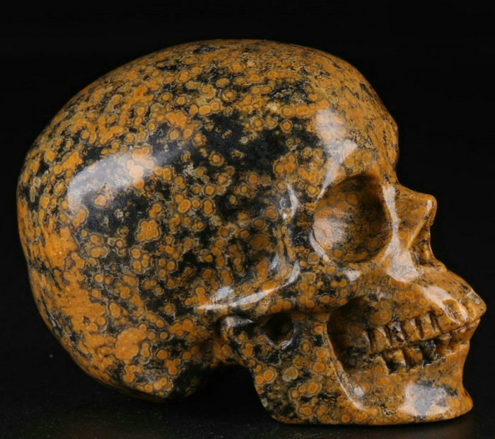 2.5 '' Ocean Jasper K2364