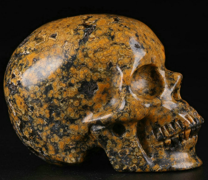 2.5 '' Ocean Jasper K2362