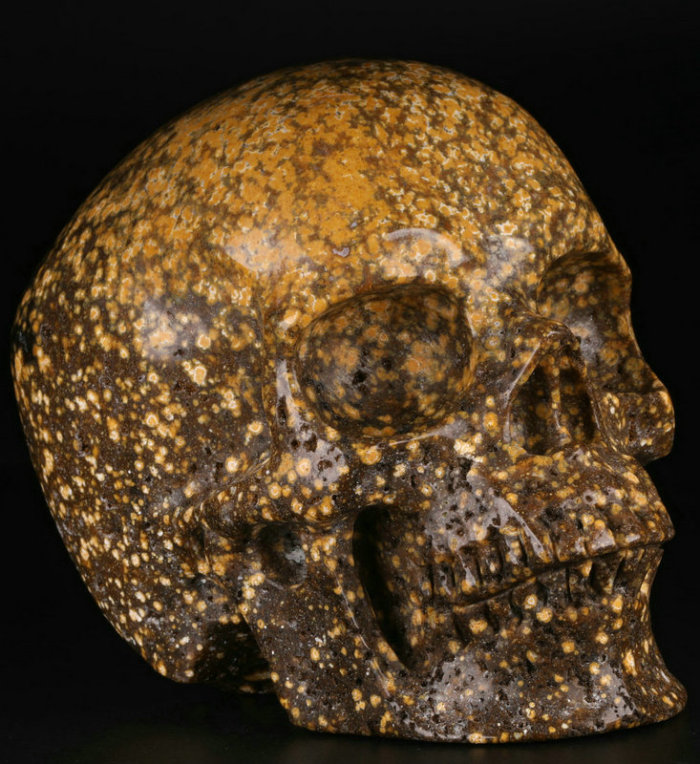 5 '' Ocean Jasper K2394