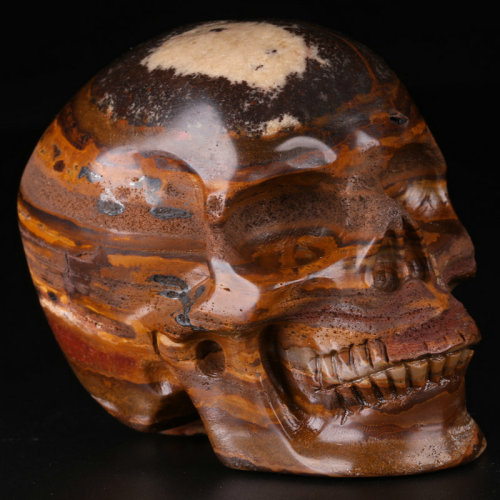 3 '' Outback Jasper K2546