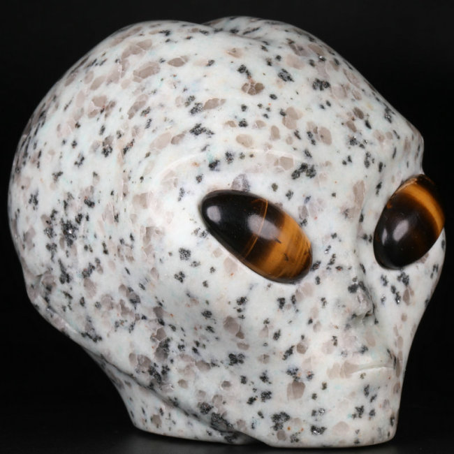 4 '' Kiwi Jasper K2814