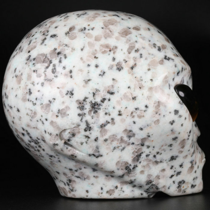 4 '' Kiwi Jasper K2814
