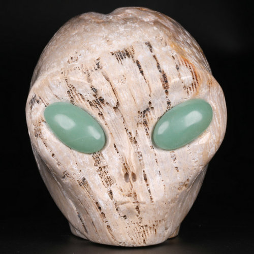 4 '' Coral Fossil Jasper K2817