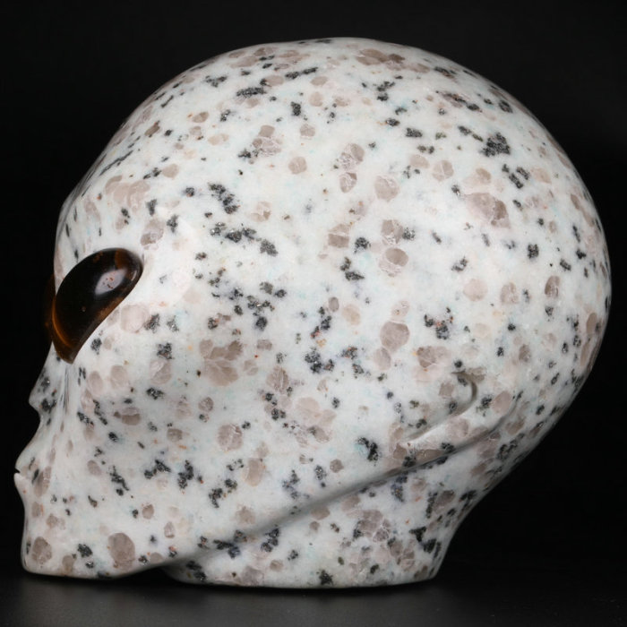 4 '' Kiwi Jasper K2814