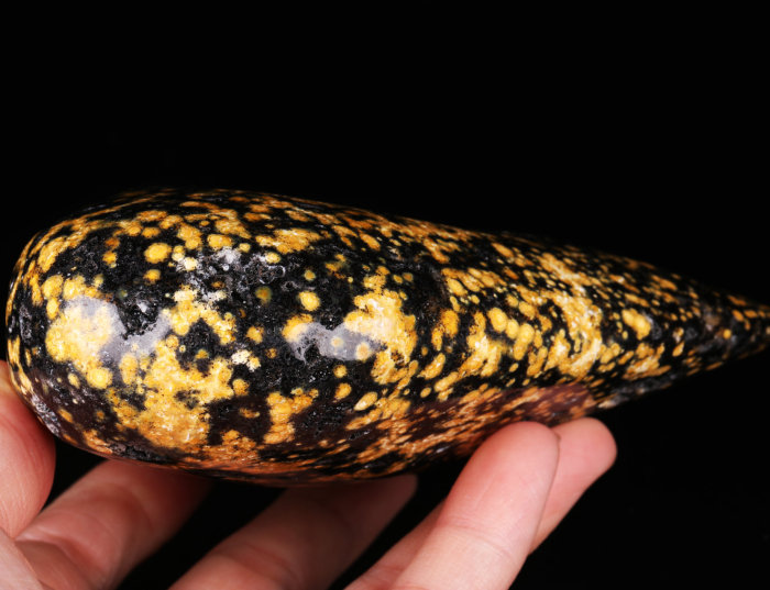 4.3 '' Ocean Jasper K2836