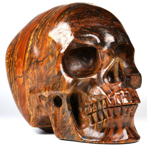 5 '' Tiger Iron Eye K2887