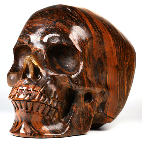 5 '' Tiger Iron Eye K2887