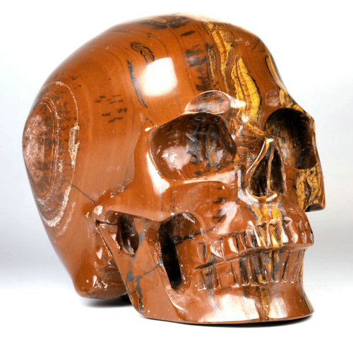 5 '' Tiger Iron Eye K2996