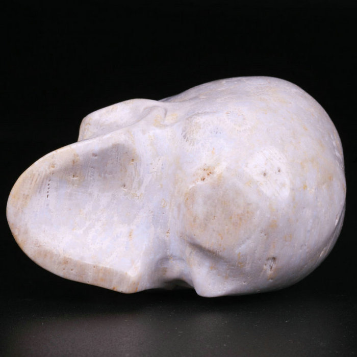2.5 '' Coral Fossil Jasper K3056