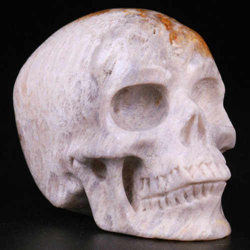2.5 '' Coral Fossil Jasper K3058