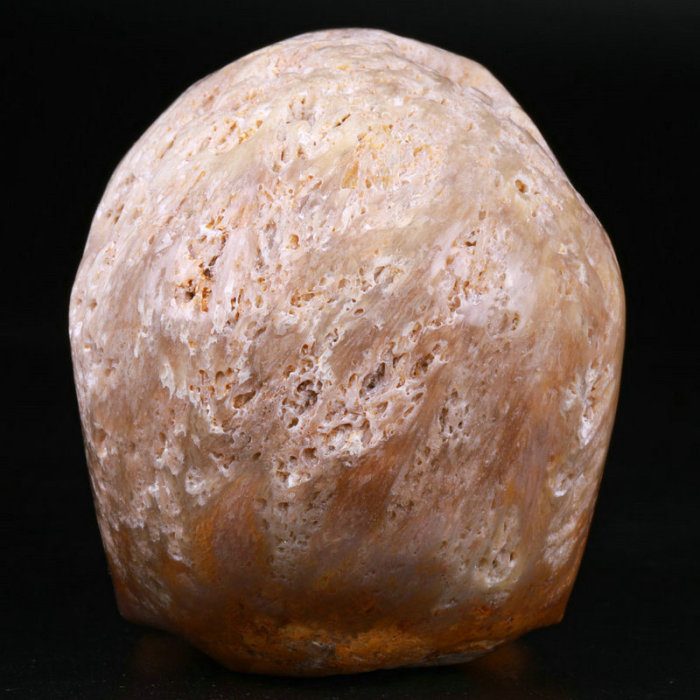3 '' Coral Fossil Jasper K3059