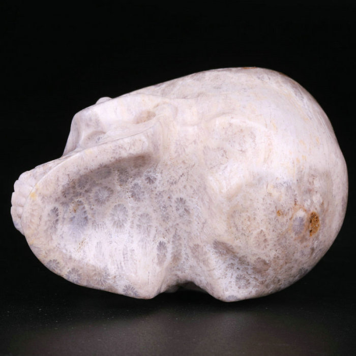 2.5 '' Coral Fossil Jasper K3058