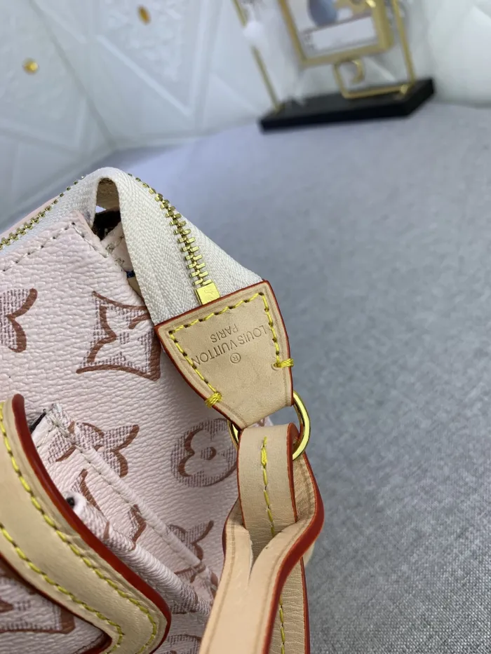 Louis Vuitton Buci handbag bag M46161 M20920