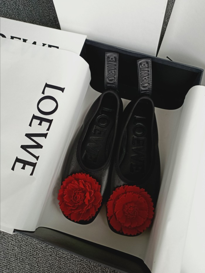 LOEWE shoes 008 XM542