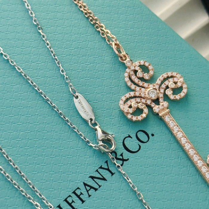 Tiffany & Co. Necklace 020
