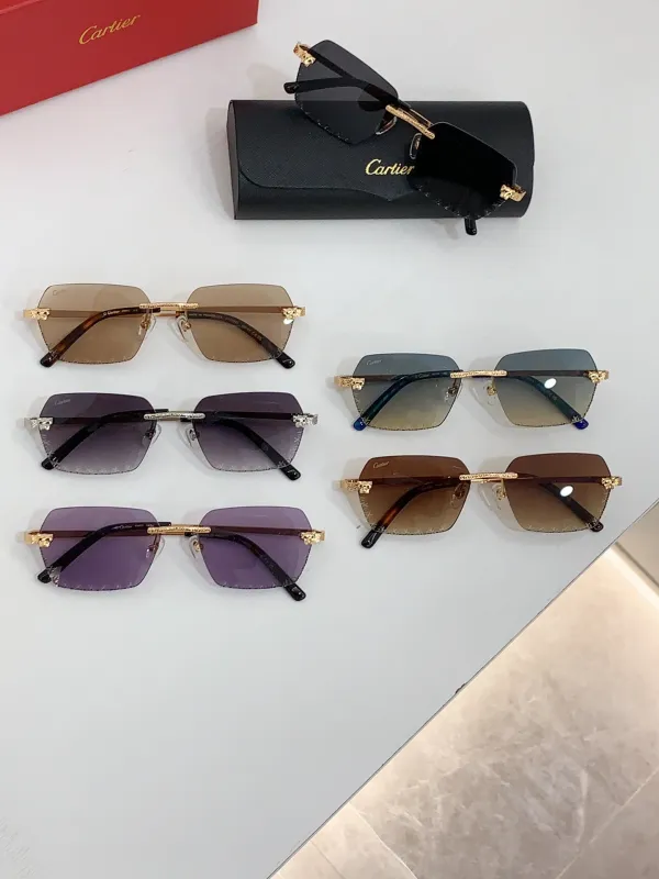 Cartier Sunglasses CT0542S SM051