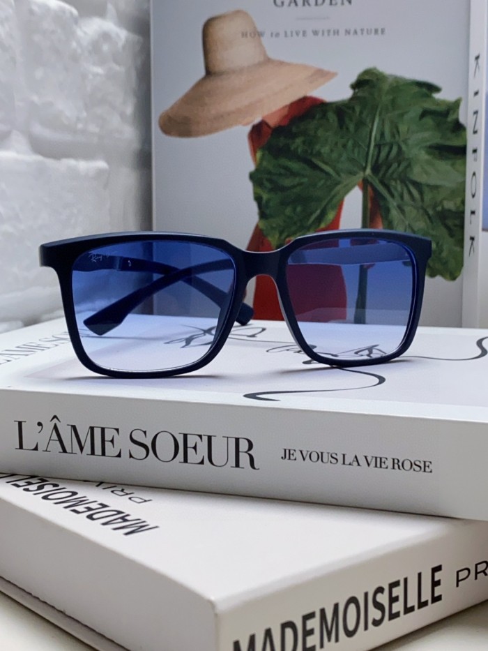 Ray-Ban Sunglasses BR4614