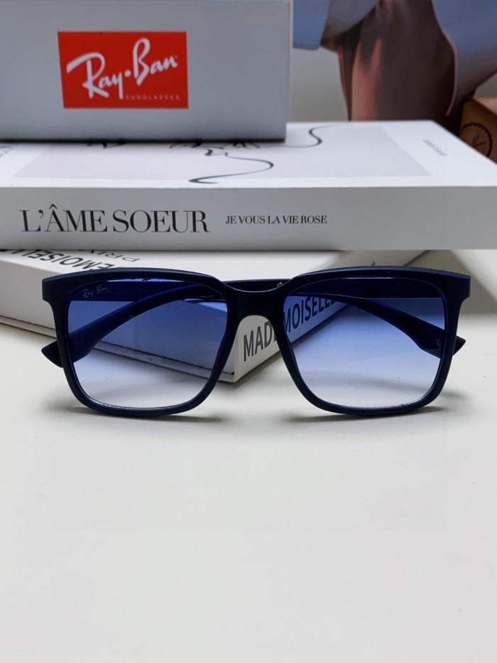 Ray-Ban Sunglasses BR4614