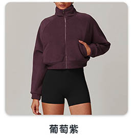 alo Yoga tops jacket DWT8977
