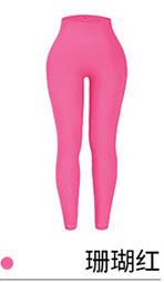 alo Yoga Pants CK2308