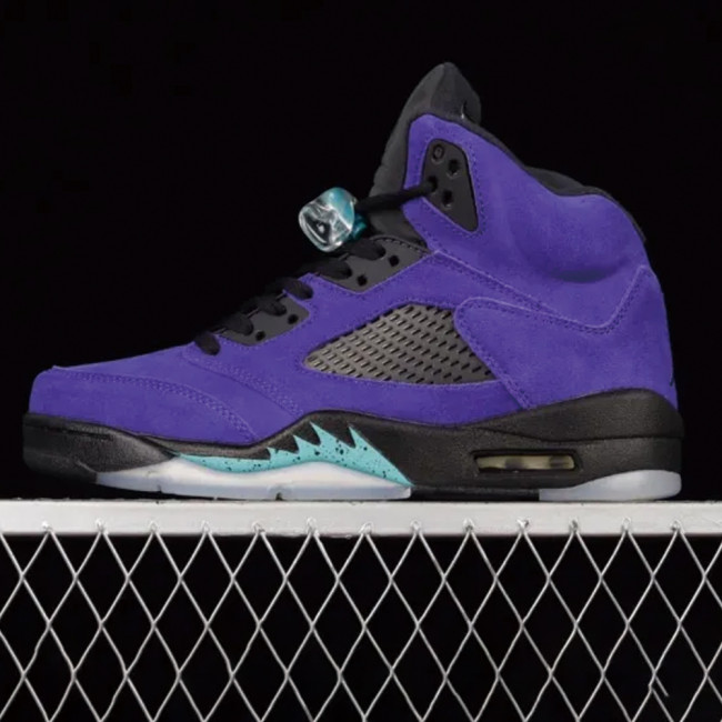 Air Jordan 5  Alternate Grape  AJ5 136027-500 XM053